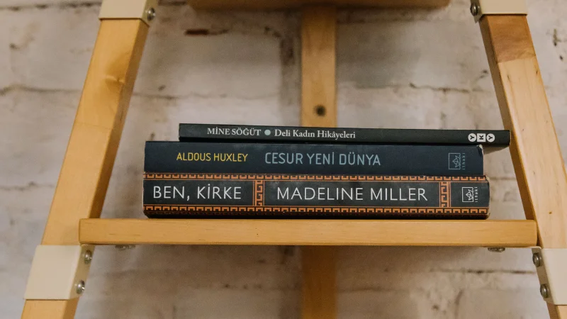 Ladder display shelf for home decor