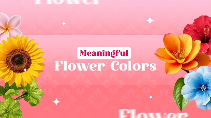 meaning flower colors