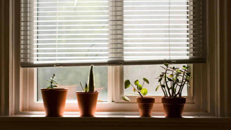 Electric motorized blinds for home
