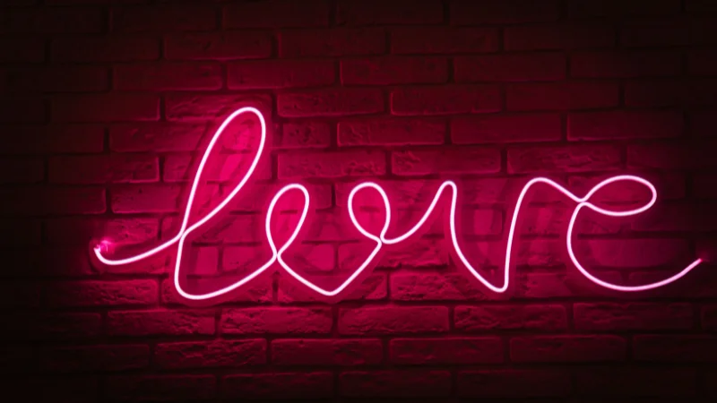 LED wall neon sign for home decor