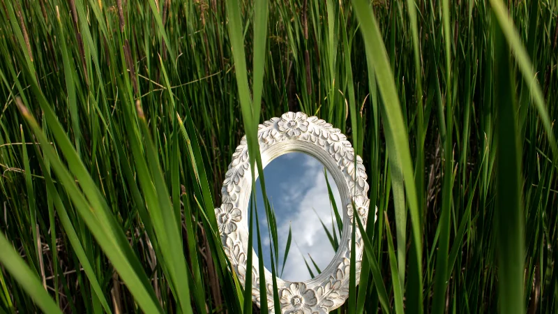 Decorative oval mirror for home q