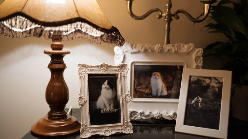 Gallery Photo Frames arranged on wall