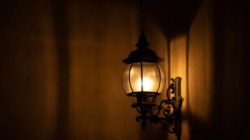 Decorative wall sconce light for home