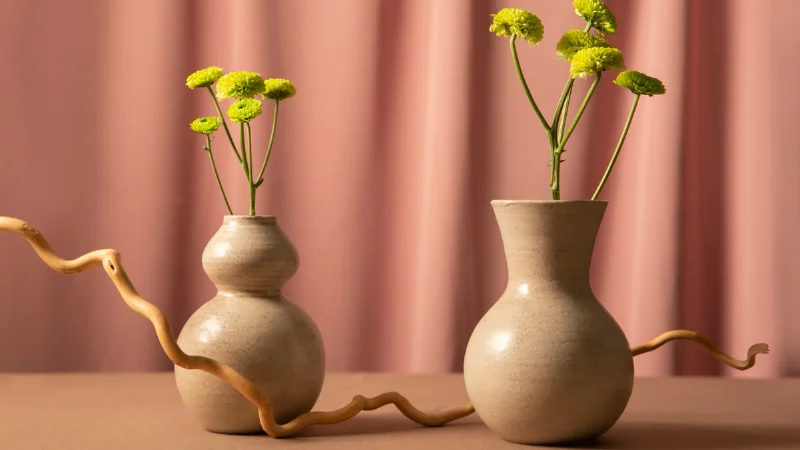 Decorative Ceramic Vases for home interior