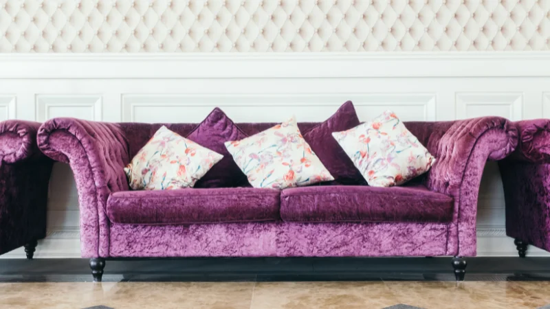 Modern velvet sofa for home decor