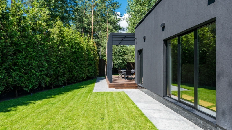 Small yard garden with plants and flowers