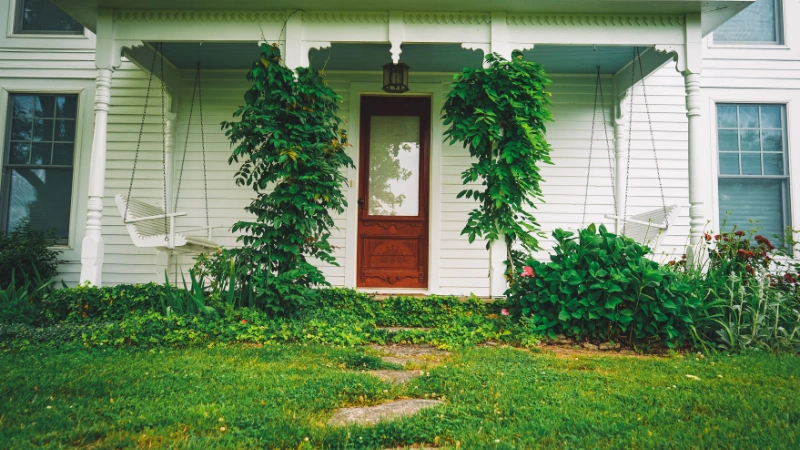 Lush green yard garden landscape