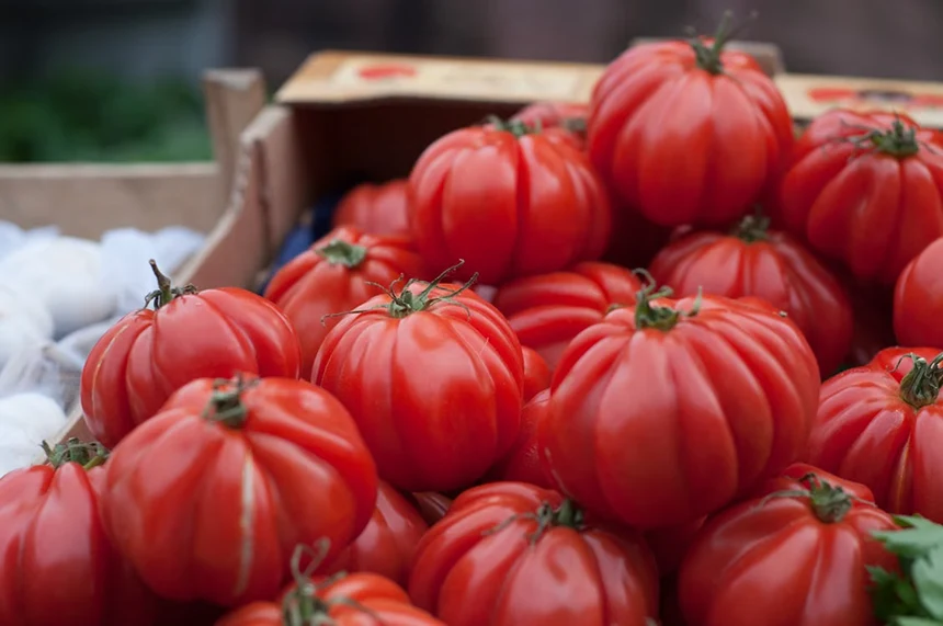 Beefsteak tomatoes