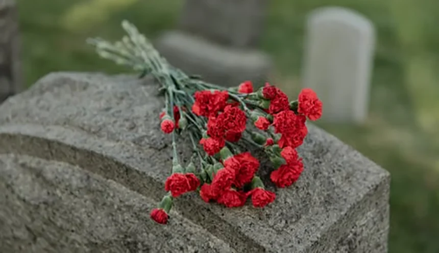 Carnation