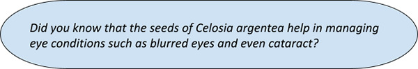 Celosia
