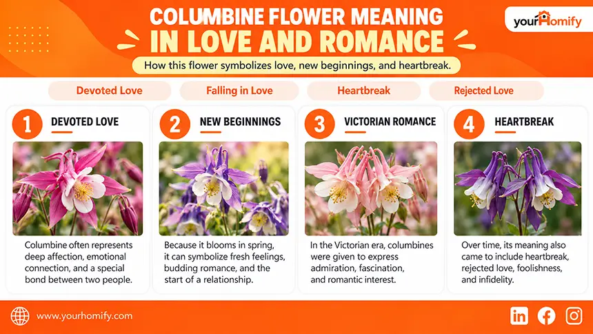 Columbine Flower Meaning in Love and Romance