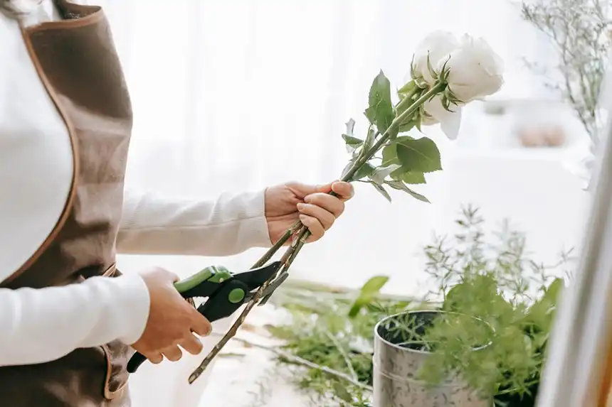 Cutting stems at an angle
