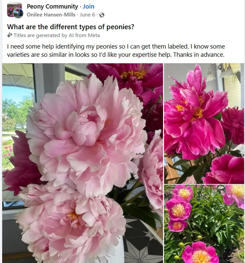 Facebook post asking about type of peony