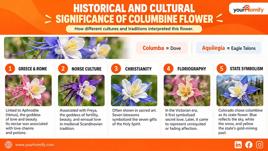 Historical and Cultural Significance of Columbine Flower