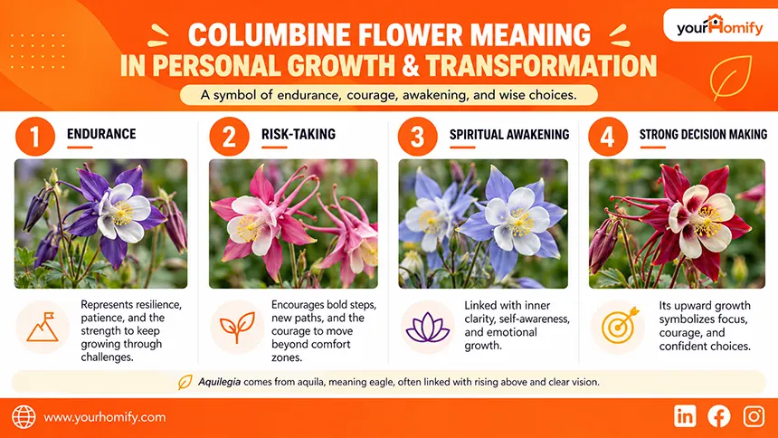 Meaning of Columbine Flower in Spirituality and Religion