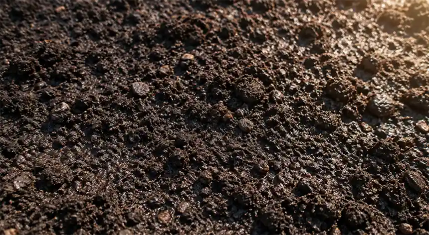 Moist soil getting warm