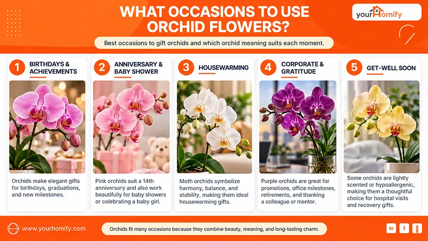Occasions to Use Orchid Flowers