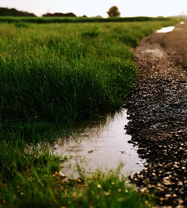 Poor Perimeter Drainage Drives Water