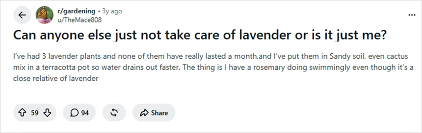 Reddit Question