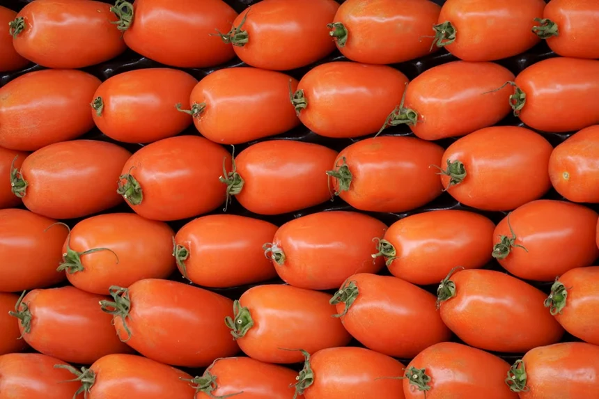 Roma tomatoes