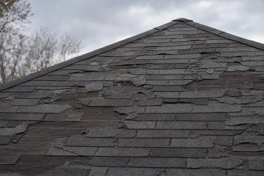 Roof Age and Condition