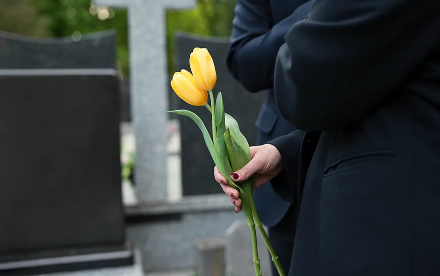 Tulip