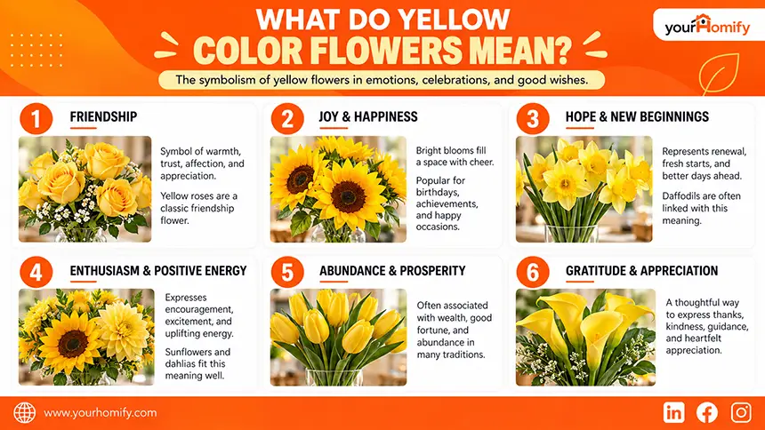 What Do Yellow Color Flowers Mean
