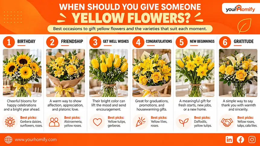 When Should You Give Someone Yellow Flowers