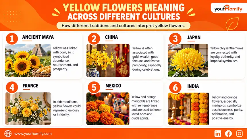 Yellow Flowers Meaning Across Different Cultures