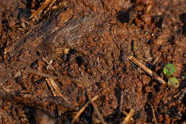 home foundation drainage systems preventing moisture