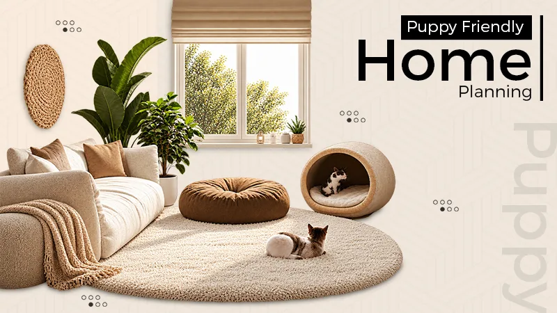 How to Plan a Puppy-Friendly Living Room and Pet Budget