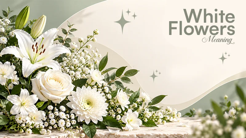 https://yourhomify.com/white-flowers-meaning/
