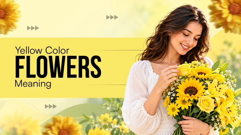 Yellow Flower Meaning: What Do Yellow Flowers Symbolize?